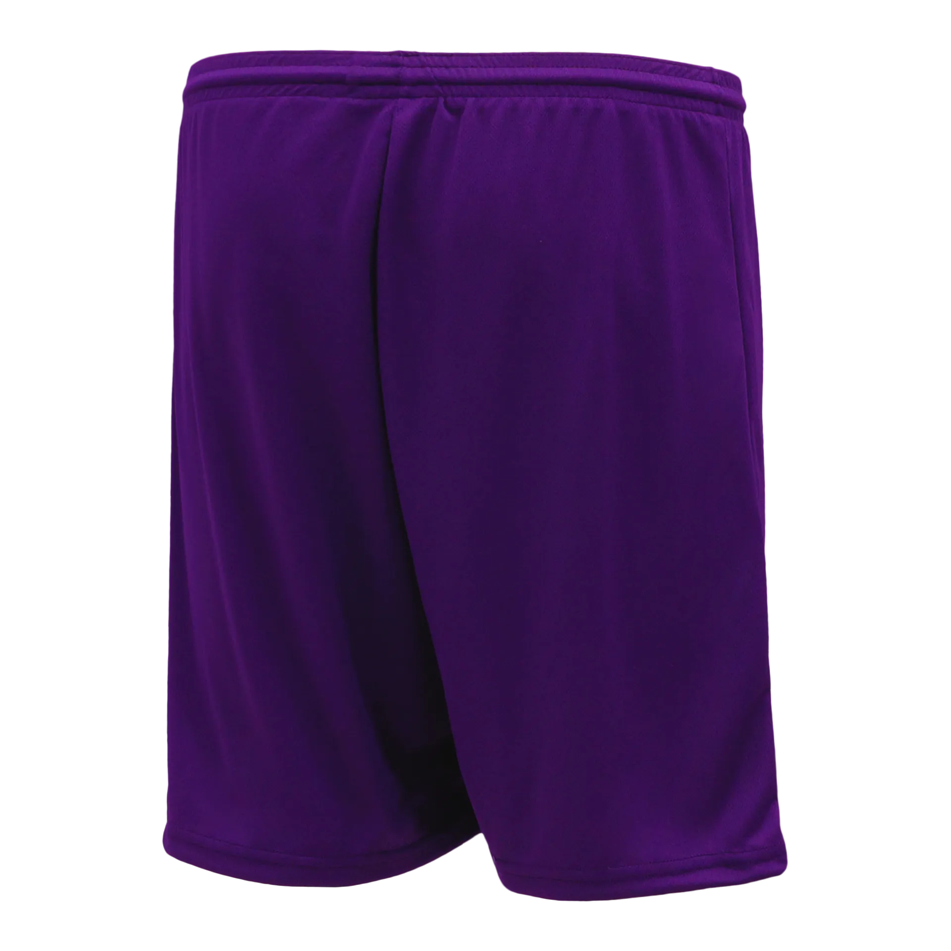 Athletic Knit (AK) BS1300M-010 Mens Purple Basketball Shorts