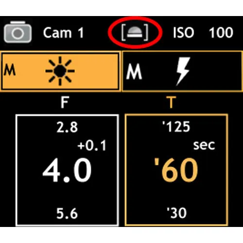 Gossen DIGISKY Flash and Ambient Light Meter