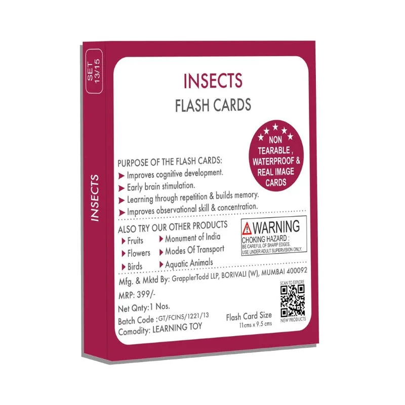 Insects Flash Cards